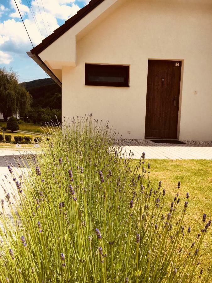 Grand Spa Holiday Home Sklene Teplice Exterior photo