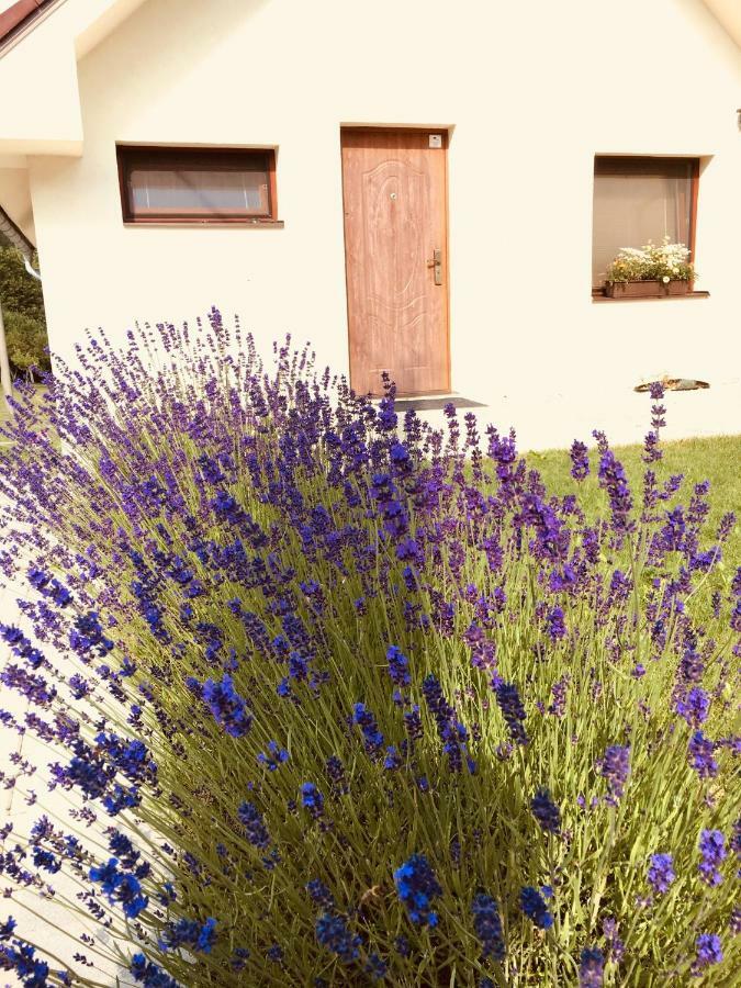 Grand Spa Holiday Home Sklene Teplice Exterior photo